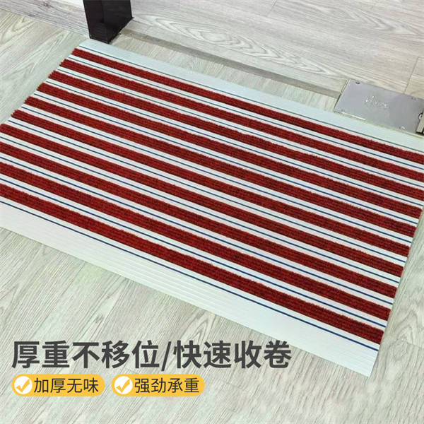 塑钢框架除尘地垫